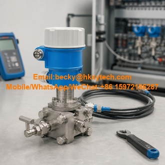 Endress+Hauser PMC51-AA12QA1MGJ
